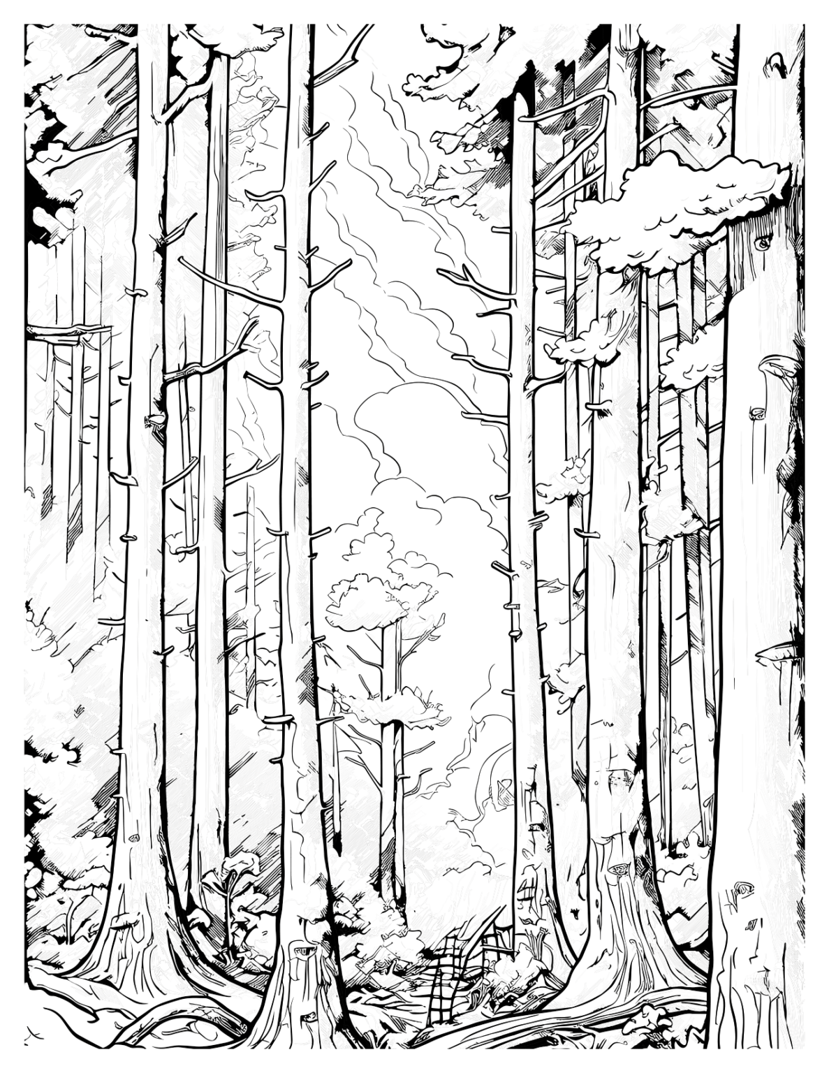 Redwood Forest Coloring Pages Nature's Beauty in Art