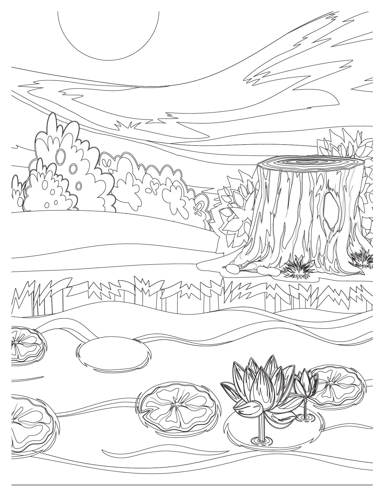 Water Garden Coloring Pages |Relaxing Coloring Page"