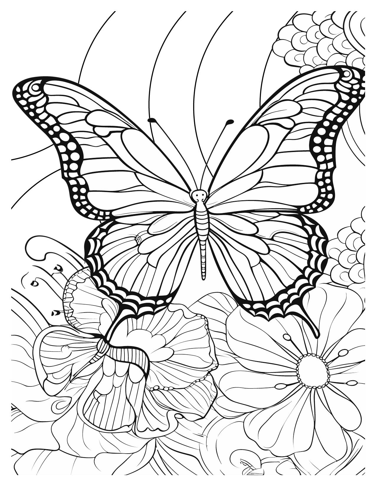 Beautiful Butterfly Garden Coloring Pages