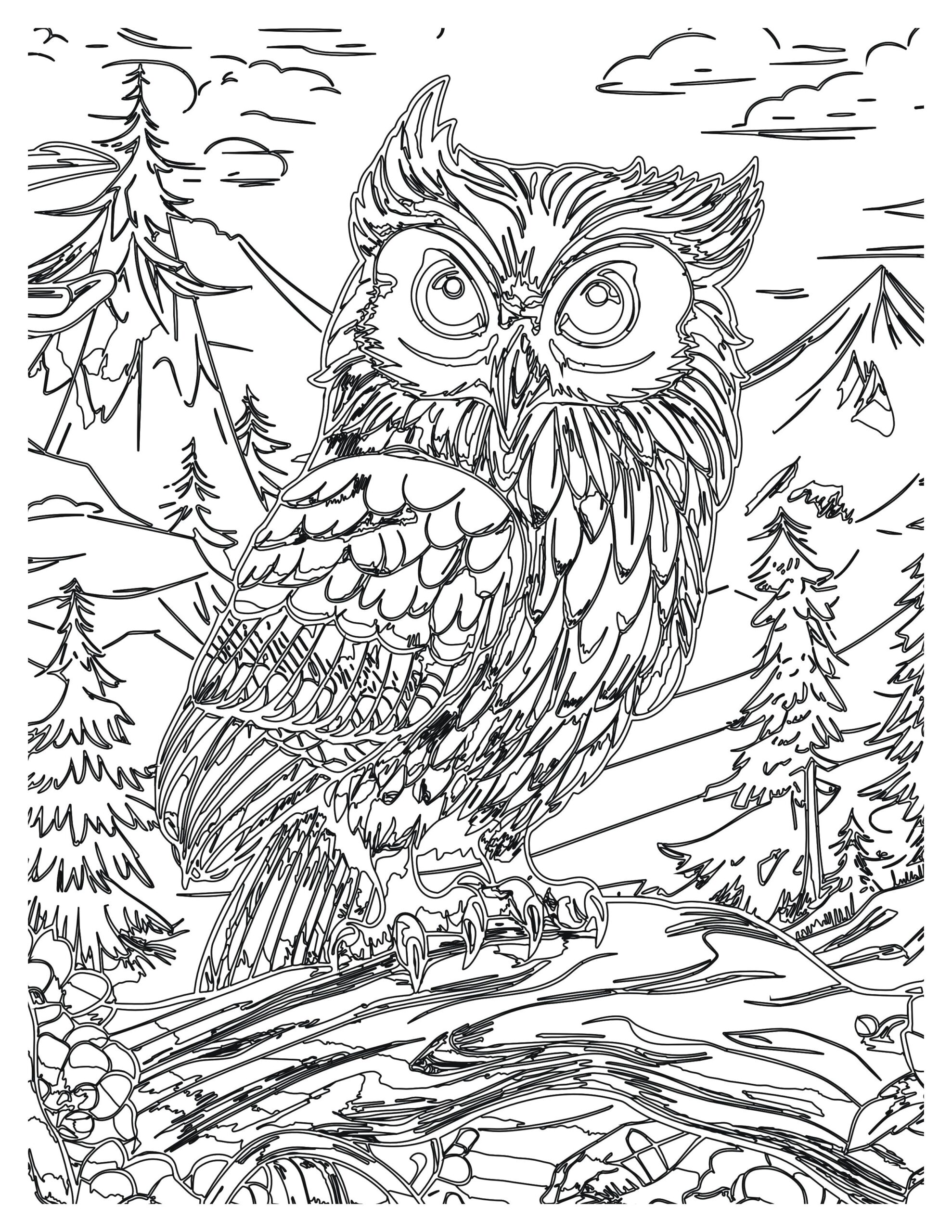 Wise Owl Coloring Pages For Kids | Free Printable Sheets