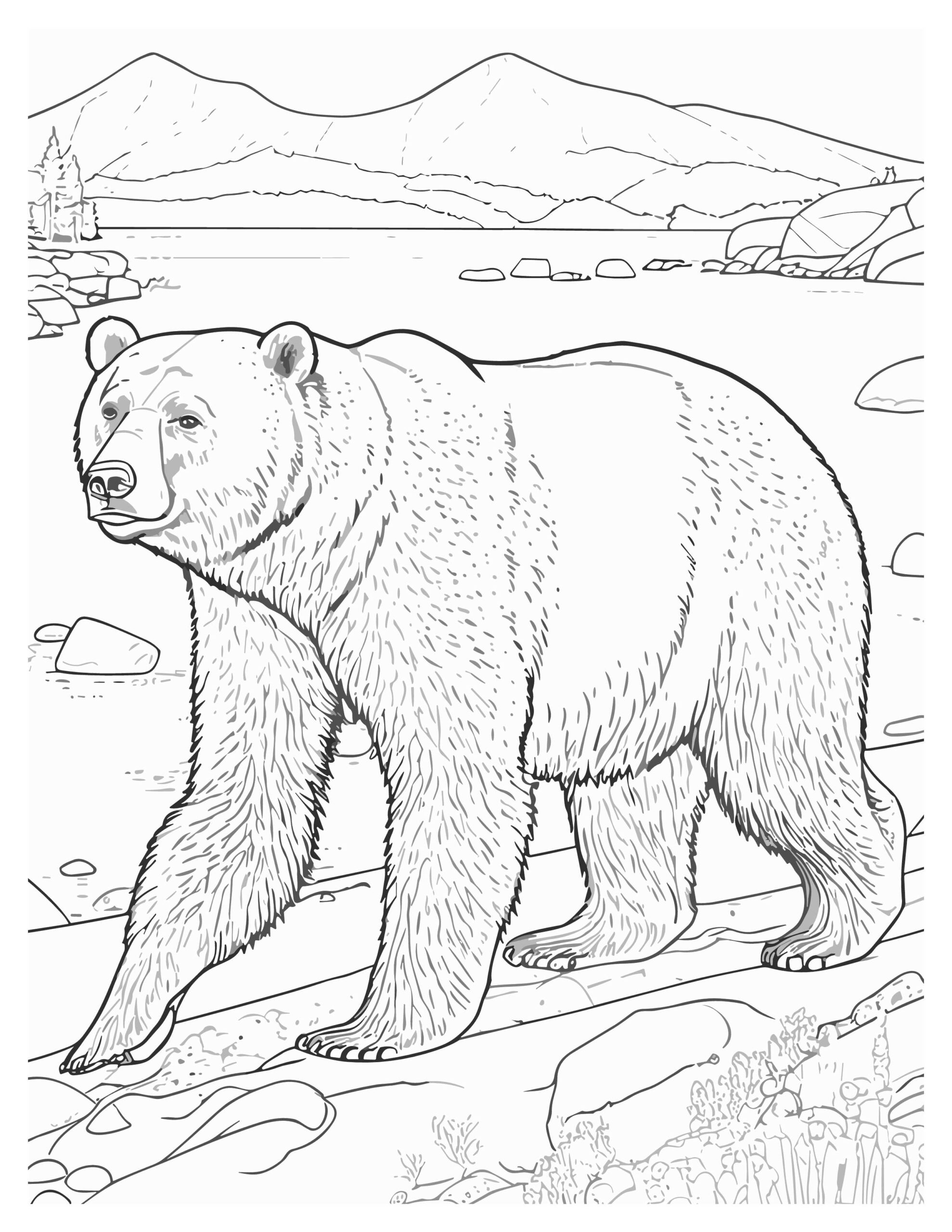 Bear Adventure Coloring Pages for Kids : Roaring Fun