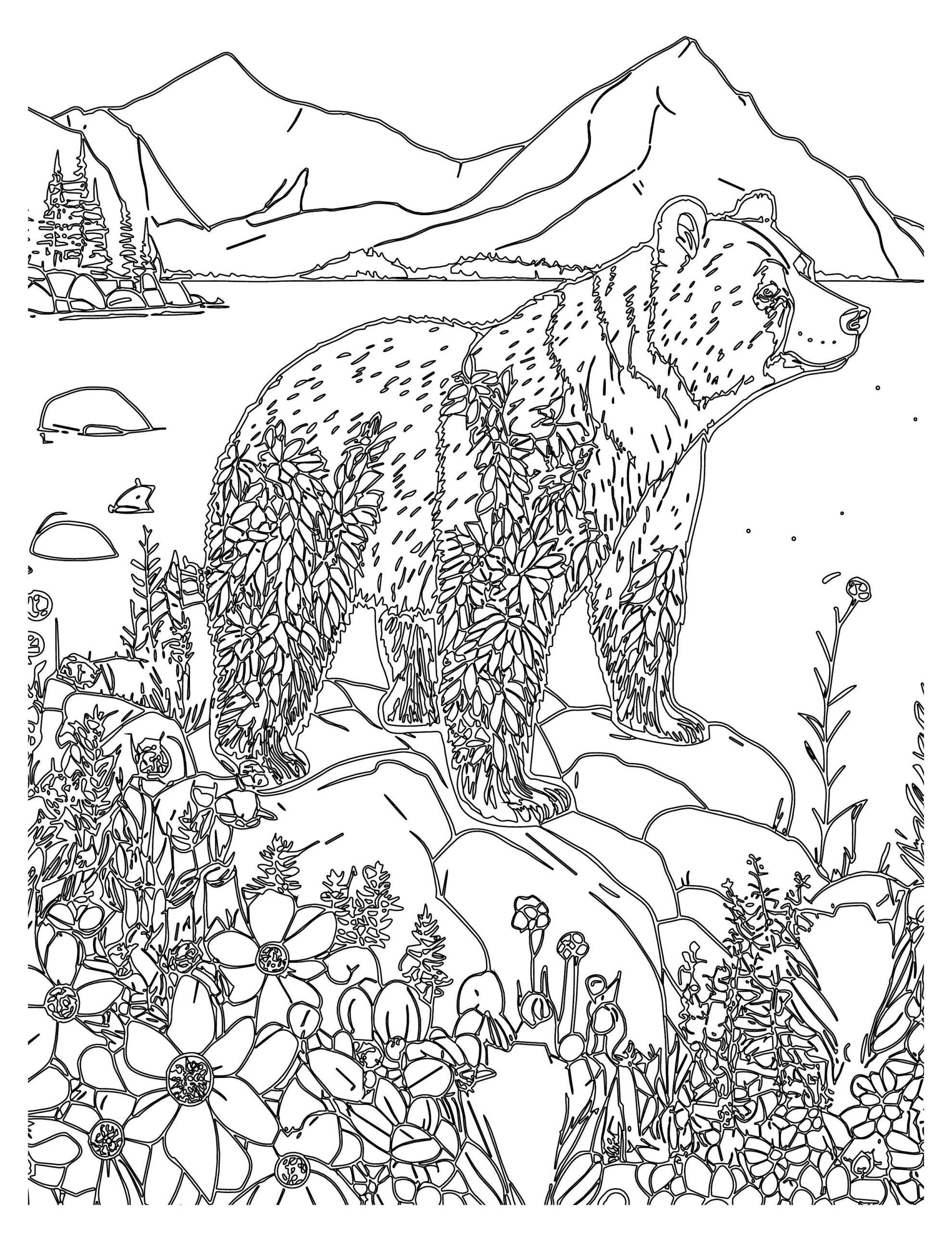 Bear Adventure Coloring Pages for Kids : Roaring Fun