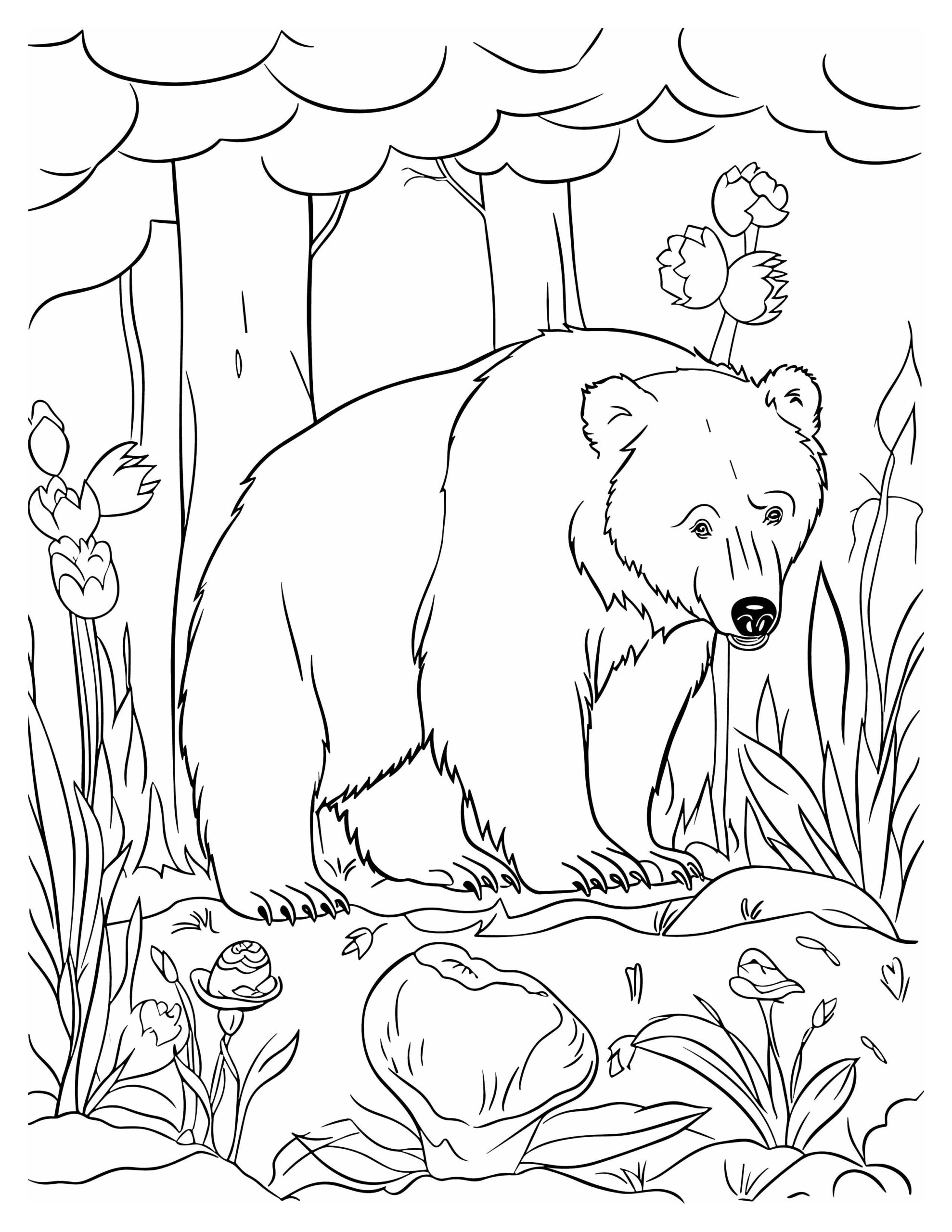 Bear Adventure Coloring Pages for Kids : Roaring Fun