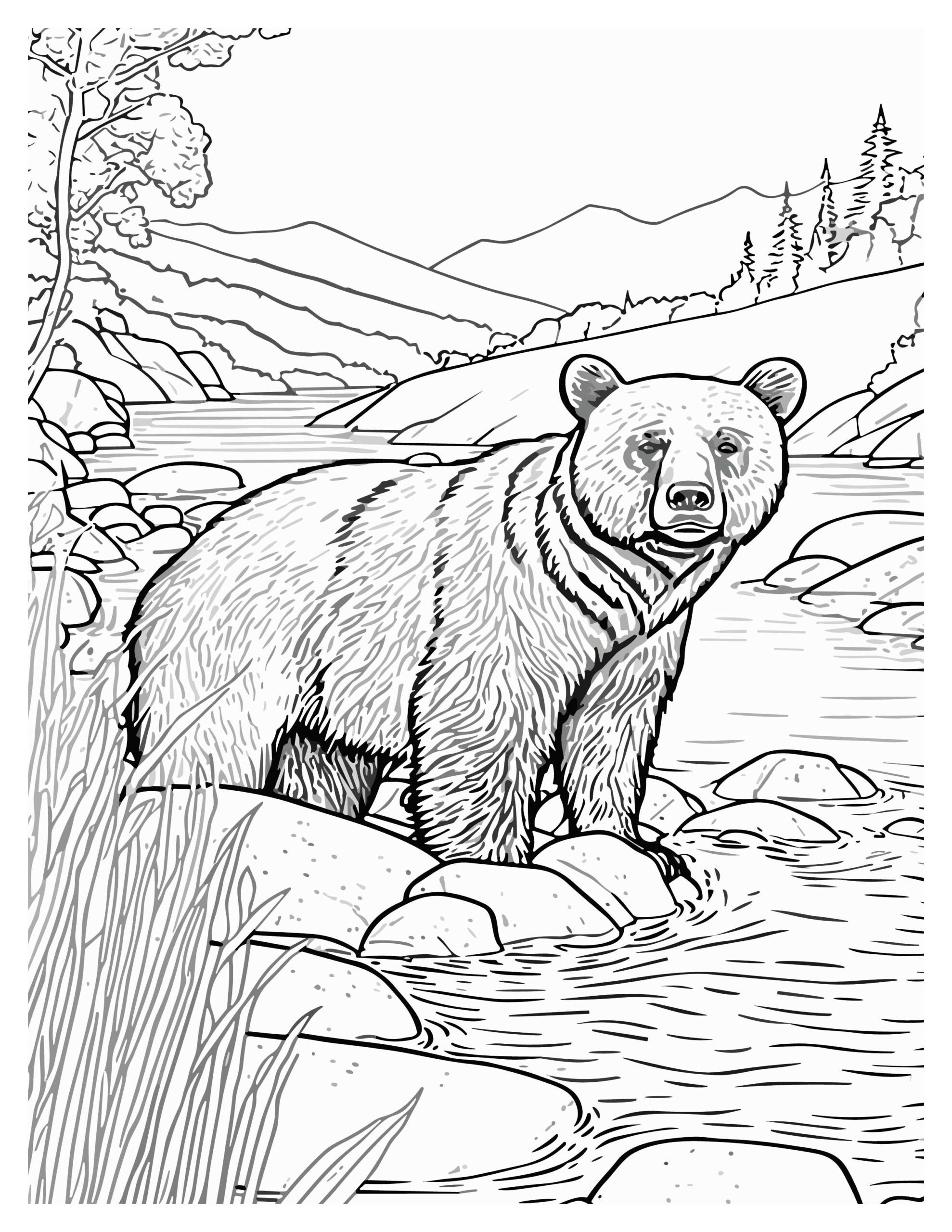 Bear Adventure Coloring Pages for Kids : Roaring Fun