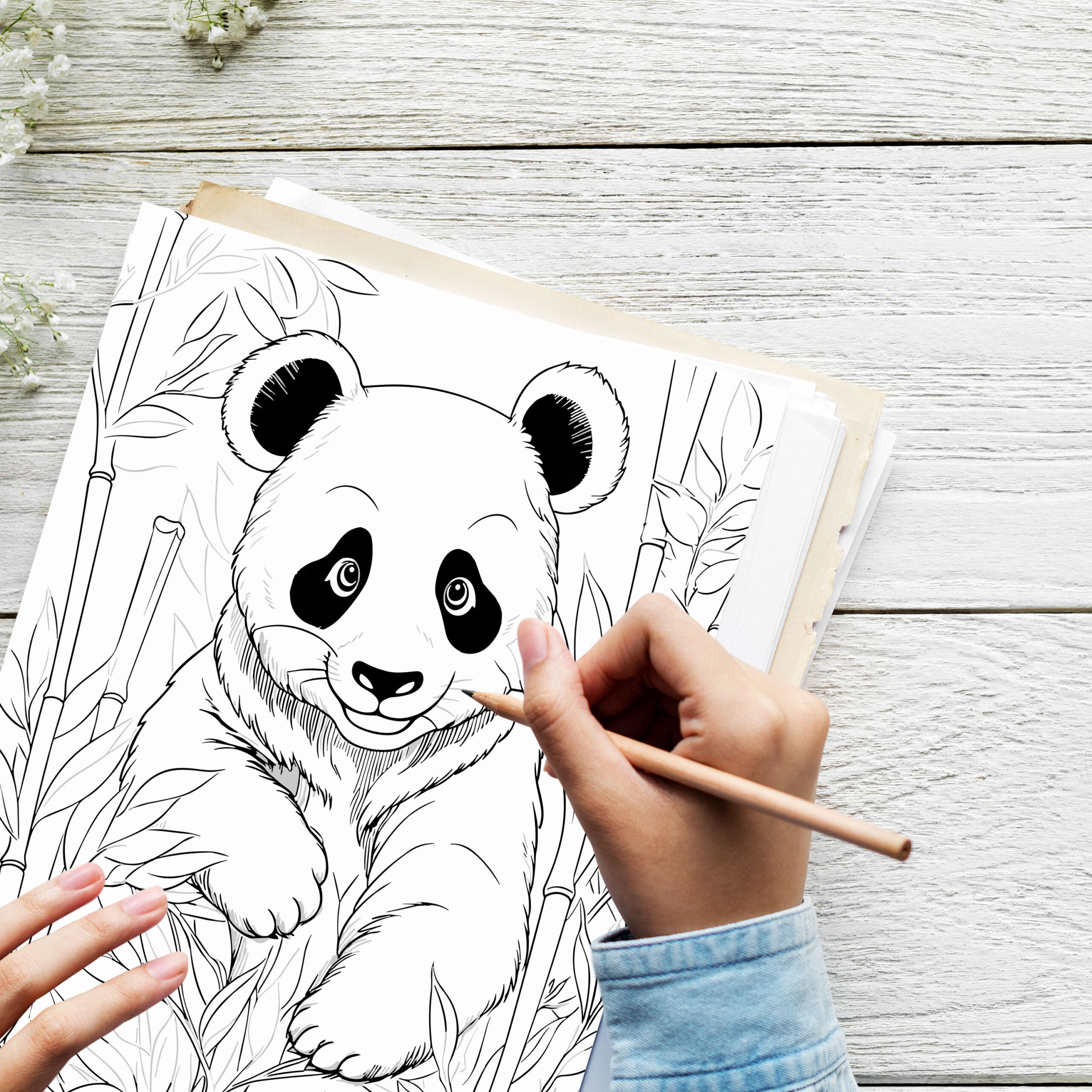 Bear Adventure Coloring Pages for Kids : Roaring Fun