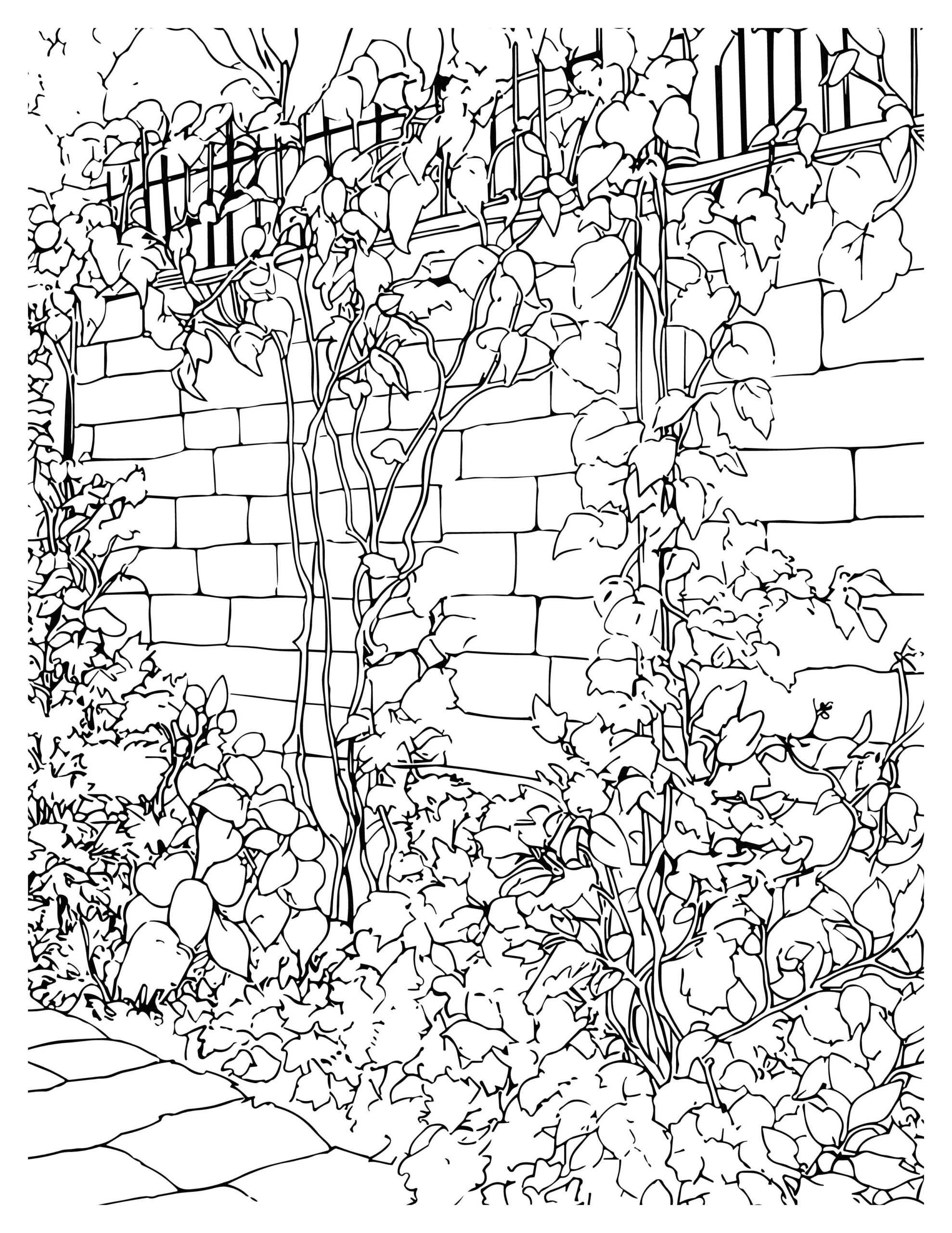 Botanical Wonders Coloring Pages | Discover Nature's Beauty