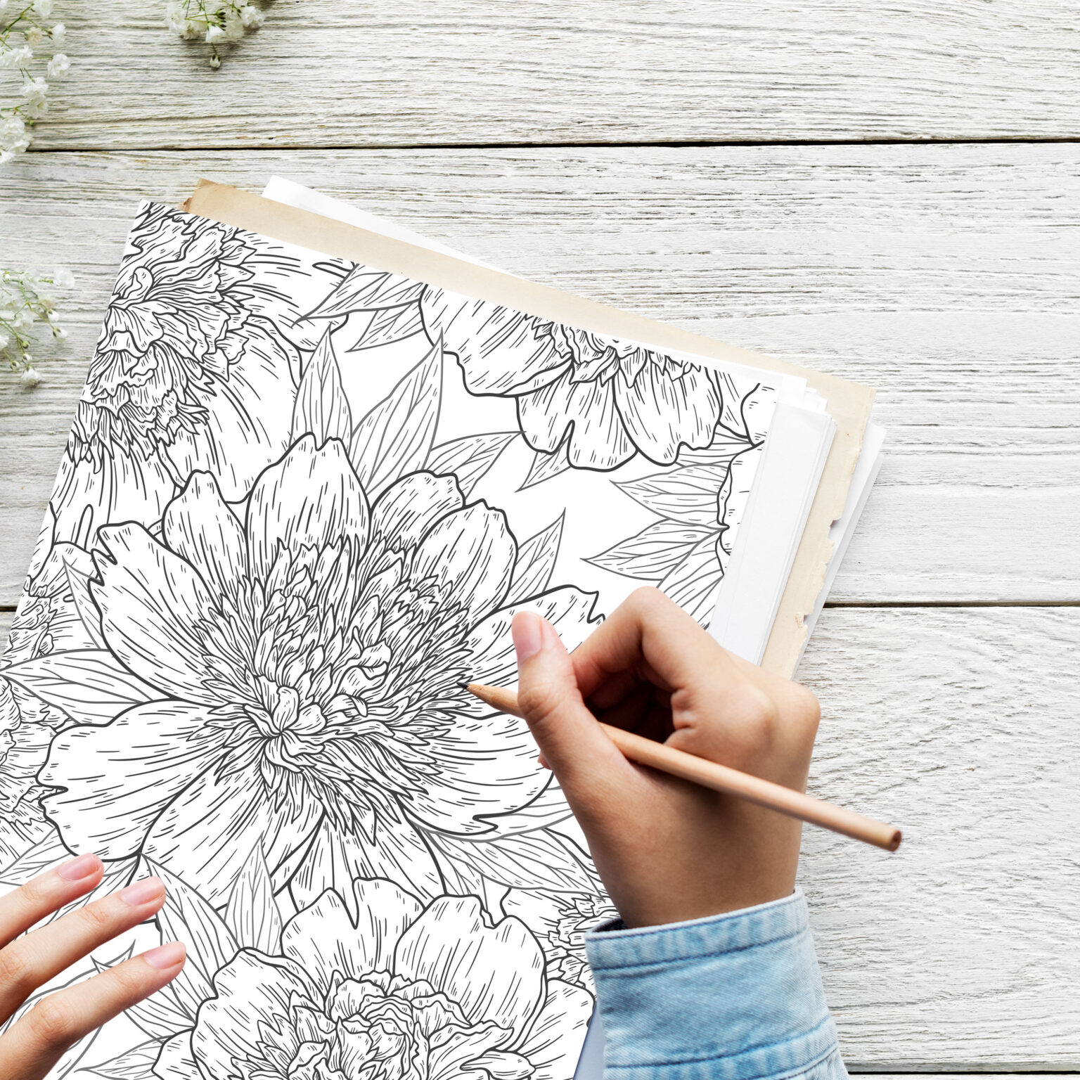 Vintage Botanical Coloring Pages | Unique Designs