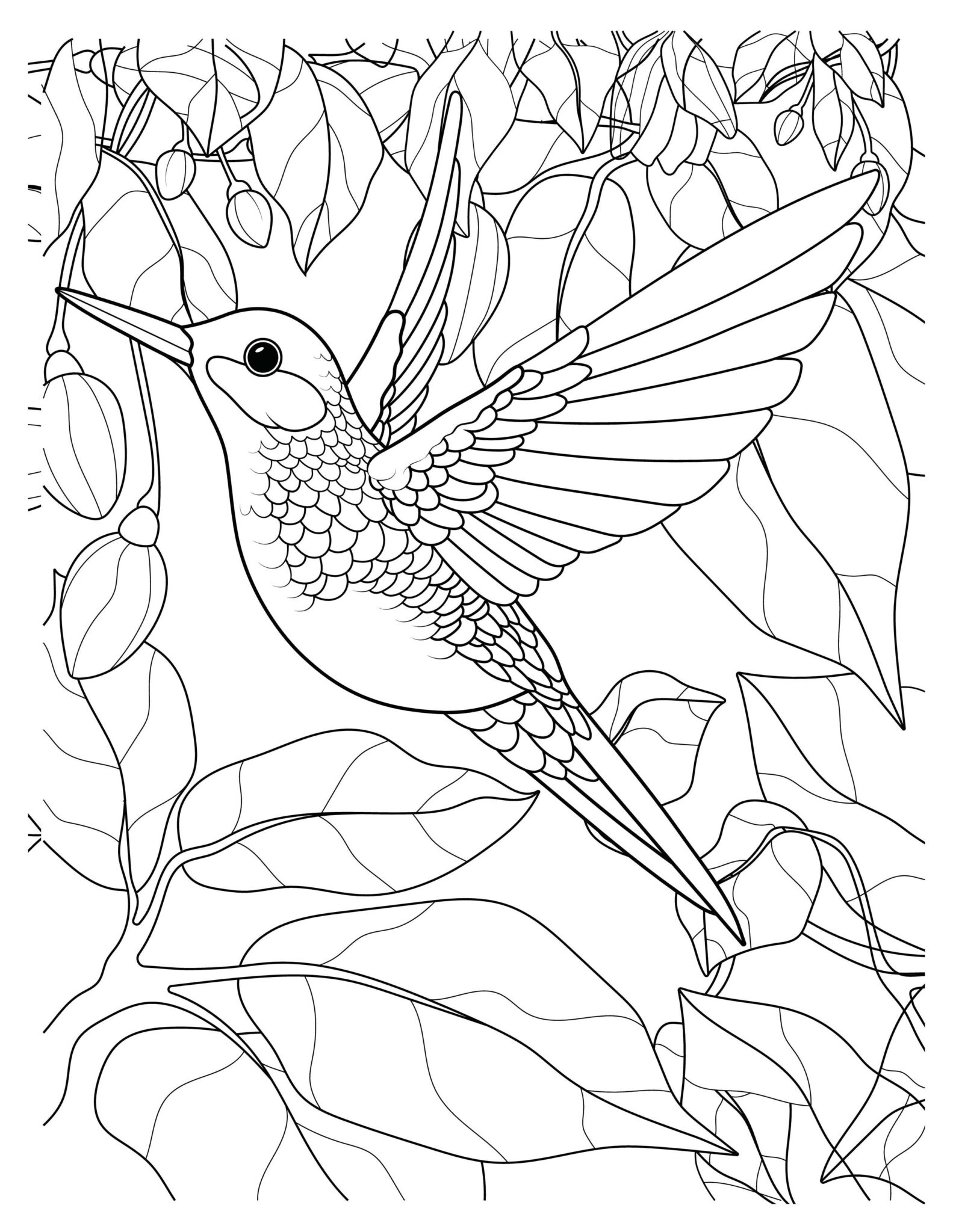 Hummingbirds Coloring Pages : Free Printable Sheets