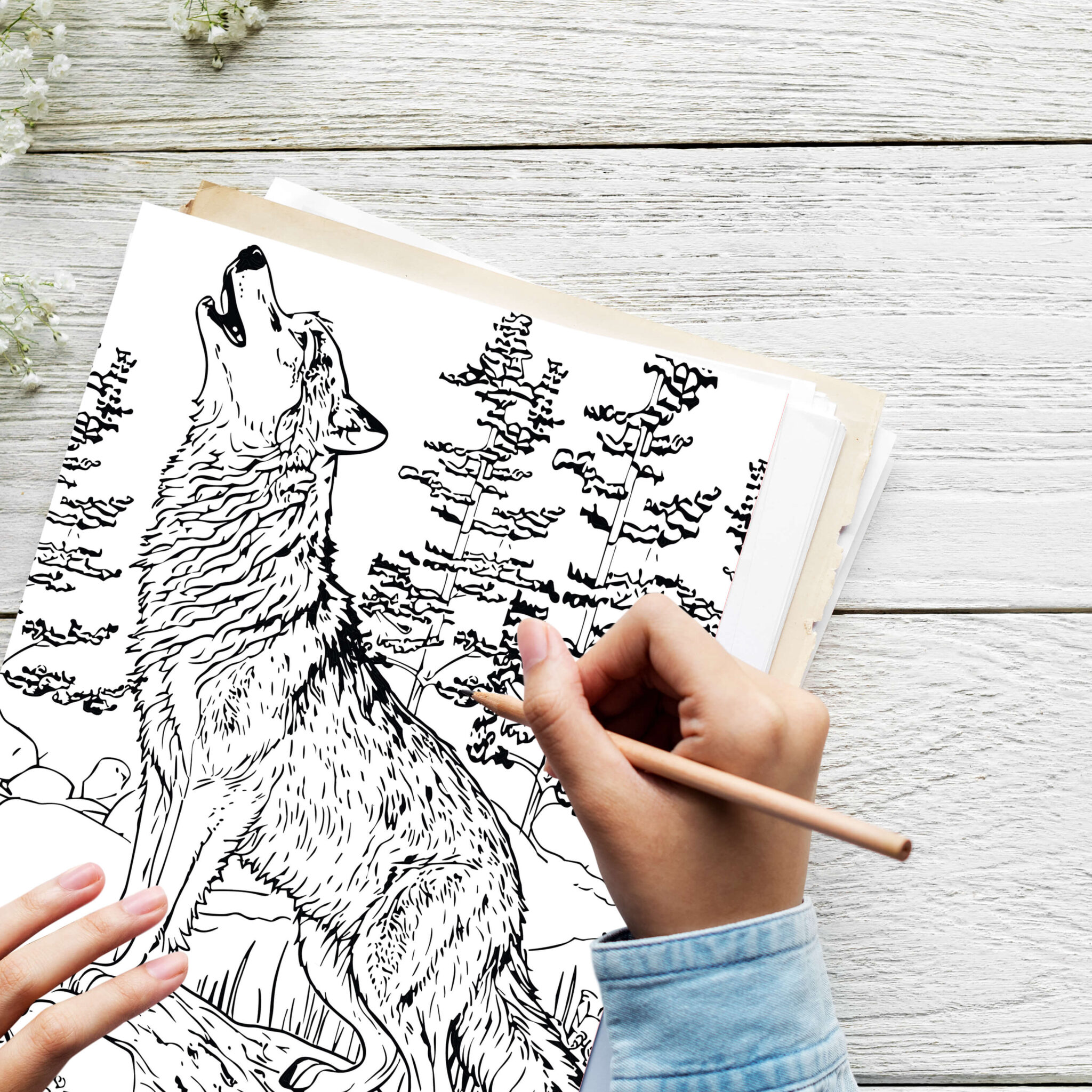 Mystical Wolves Coloring Pages: Enchanting Designs for Creativity