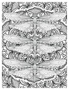 Graceful Dragonflies Coloring Pages: Delicate Designs for All Ages