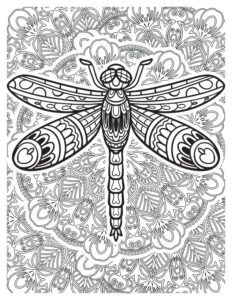 Graceful Dragonflies Coloring Pages: Delicate Designs for All Ages