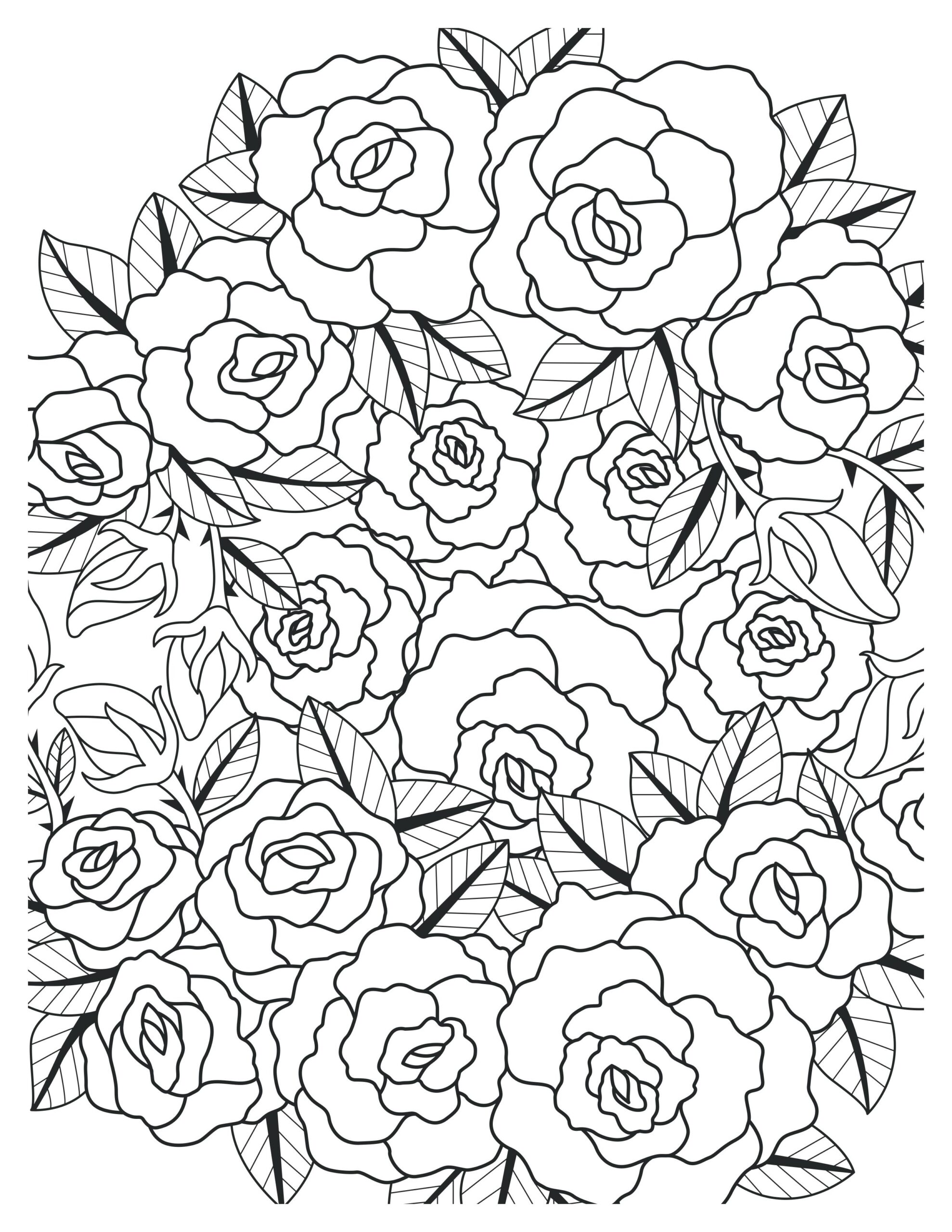 Blooming Rose Coloring Pages Collection I Garden Beauty