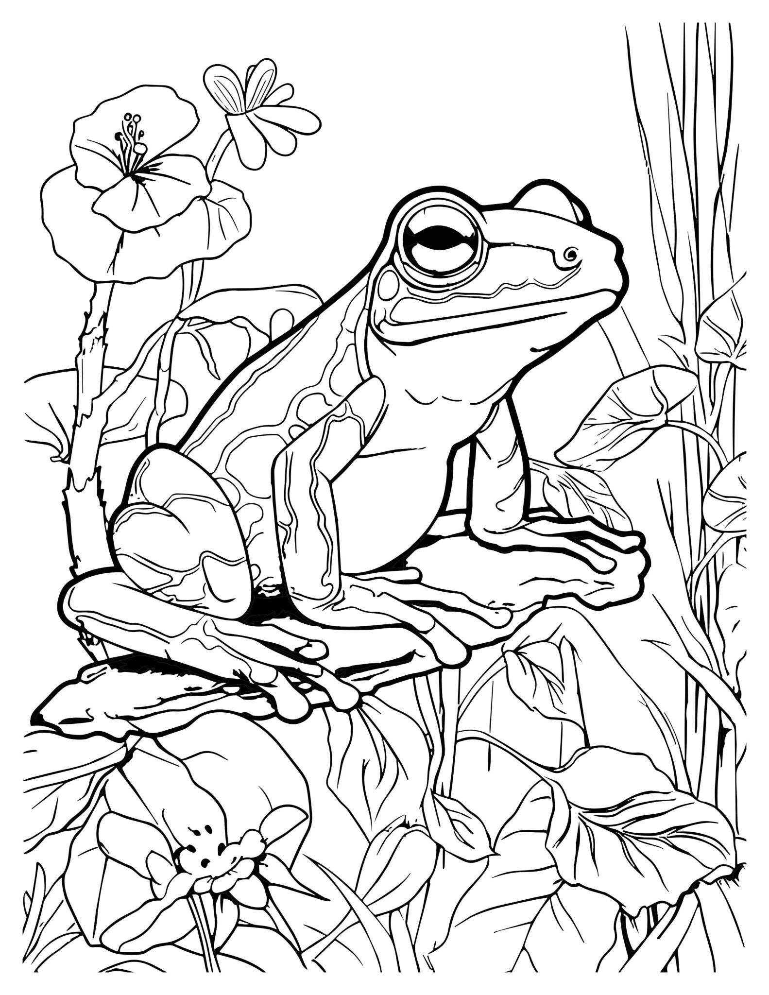 Frog Coloring Pages: Fun and Creative Activities for Kids & Adult